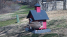 /Birds//Thumbs//found20250217-125648.png 
