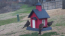 /Birds//Thumbs//found20250218-074902.png 