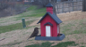 /Birds//Thumbs//found20250218-075544.png 