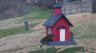 /Birds//Thumbs//found20250218-080050.png 
