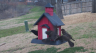 /Birds//Thumbs//found20250218-081722.png 