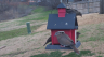/Birds//Thumbs//found20250218-081933.png 