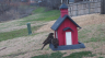 /Birds//Thumbs//found20250218-082201.png 