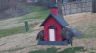 /Birds//Thumbs//found20250218-083620.png 
