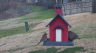 /Birds//Thumbs//found20250218-083851.png 