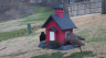 /Birds//Thumbs//found20250218-084245.png 