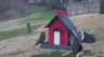 /Birds//Thumbs//found20250218-100518.png 