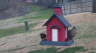 /Birds//Thumbs//found20250218-100712.png 