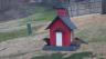 /Birds//Thumbs//found20250218-100932.png 