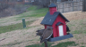 /Birds//Thumbs//found20250218-105116.png 
