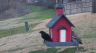 /Birds//Thumbs//found20250218-105327.png 