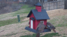 /Birds//Thumbs//found20250218-105405.png 