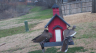 /Birds//Thumbs//found20250218-113655.png 