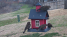 /Birds//Thumbs//found20250218-114332.png 