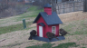 /Birds//Thumbs//found20250218-114906.png 