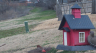 /Birds//Thumbs//found20250219-104654.png 
