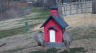 /Birds//Thumbs//found20250220-133043.png 