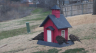 /Birds//Thumbs//found20250221-074701.png 