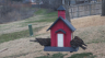 /Birds//Thumbs//found20250221-074729.png 
