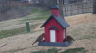 /Birds//Thumbs//found20250221-075236.png 