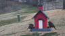 /Birds//Thumbs//found20250221-080540.png 