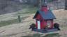 /Birds//Thumbs//found20250221-080725.png 