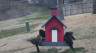 /Birds//Thumbs//found20250221-080758.png 
