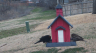 /Birds//Thumbs//found20250221-081411.png 