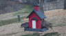 /Birds//Thumbs//found20250221-081536.png 