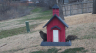 /Birds//Thumbs//found20250221-082148.png 