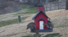 /Birds//Thumbs//found20250221-082353.png 