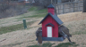 /Birds//Thumbs//found20250221-082400.png 