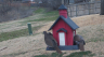 /Birds//Thumbs//found20250221-082502.png 