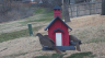 /Birds//Thumbs//found20250221-082511.png 