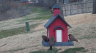 /Birds//Thumbs//found20250221-084126.png 