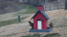 /Birds//Thumbs//found20250221-084310.png 