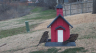 /Birds//Thumbs//found20250221-093231.png 