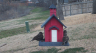 /Birds//Thumbs//found20250221-094818.png 