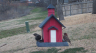/Birds//Thumbs//found20250221-095038.png 