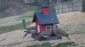 /Birds//Thumbs//found20250221-103726.png 