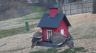 /Birds//Thumbs//found20250221-103846.png 