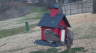 /Birds//Thumbs//found20250221-103903.png 