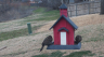 /Birds//Thumbs//found20250221-111854.png 