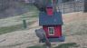 /Birds//Thumbs//found20250221-111921.png 