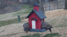 /Birds//Thumbs//found20250221-112025.png 