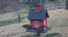 /Birds//Thumbs//found20250221-112627.png 