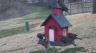 /Birds//Thumbs//found20250221-112759.png 