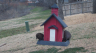 /Birds//Thumbs//found20250221-114205.png 