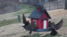 /Birds//Thumbs//found20250221-114222.png 