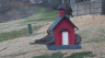 /Birds//Thumbs//found20250221-114350.png 